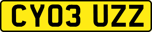 CY03UZZ