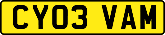 CY03VAM