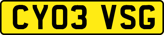 CY03VSG