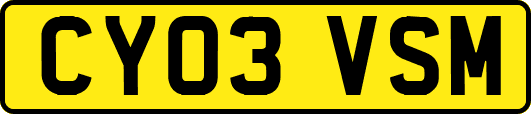 CY03VSM