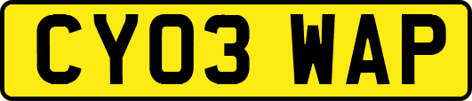 CY03WAP
