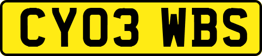 CY03WBS