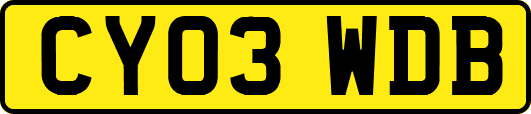CY03WDB