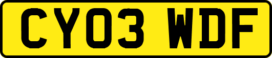 CY03WDF