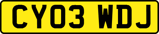 CY03WDJ