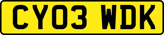 CY03WDK