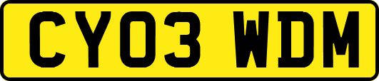 CY03WDM