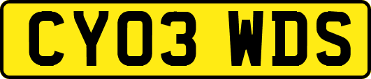 CY03WDS