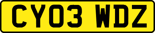 CY03WDZ