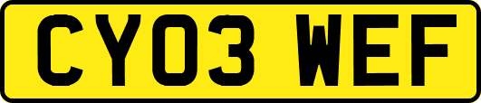 CY03WEF