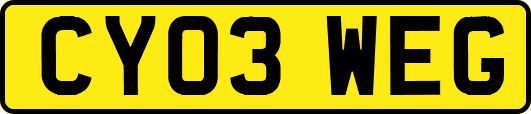 CY03WEG
