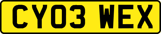 CY03WEX