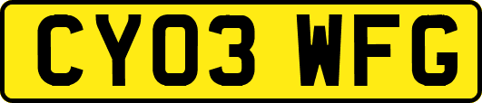 CY03WFG