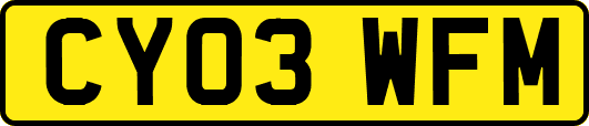 CY03WFM