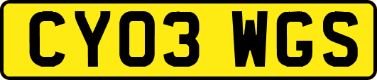 CY03WGS