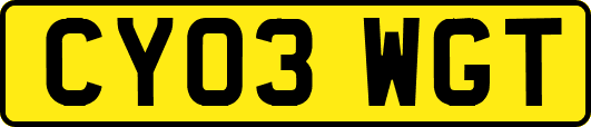 CY03WGT
