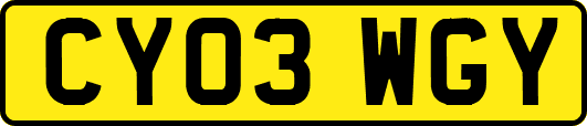 CY03WGY