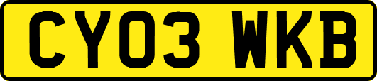 CY03WKB