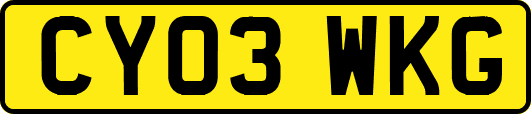 CY03WKG
