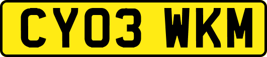 CY03WKM