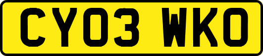 CY03WKO