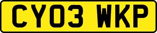 CY03WKP