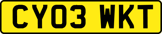 CY03WKT