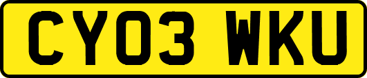 CY03WKU