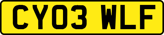 CY03WLF
