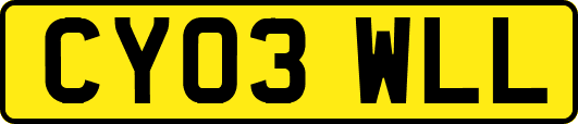 CY03WLL