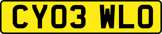 CY03WLO