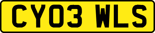 CY03WLS