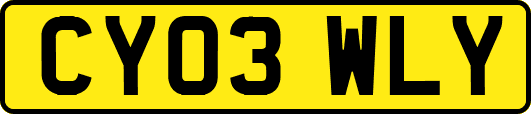 CY03WLY