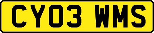 CY03WMS