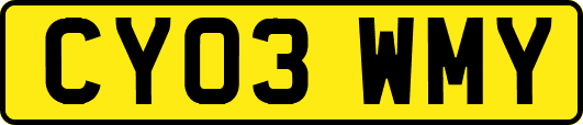 CY03WMY