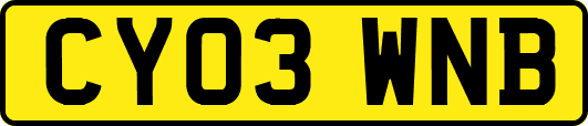 CY03WNB
