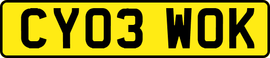 CY03WOK
