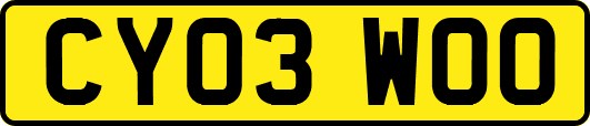 CY03WOO