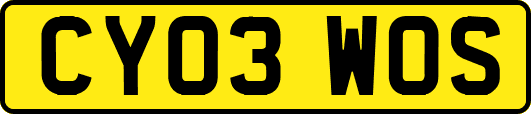 CY03WOS
