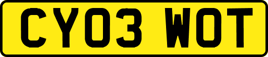 CY03WOT