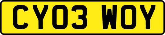 CY03WOY