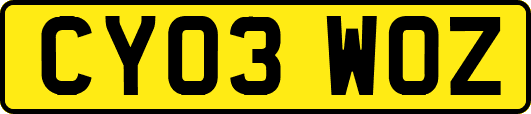 CY03WOZ