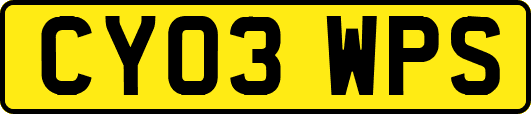 CY03WPS