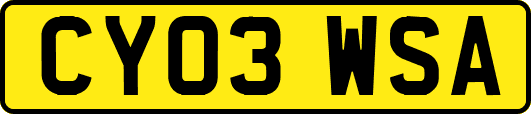 CY03WSA