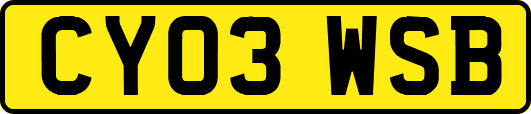 CY03WSB