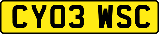 CY03WSC