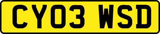 CY03WSD