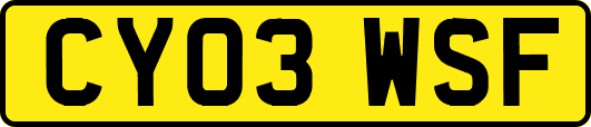 CY03WSF