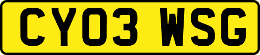 CY03WSG