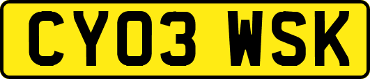 CY03WSK